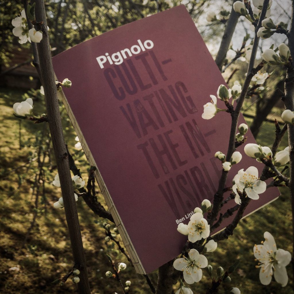 Pignolo. Cultivating the Invisible – Ben Little (recenzja)